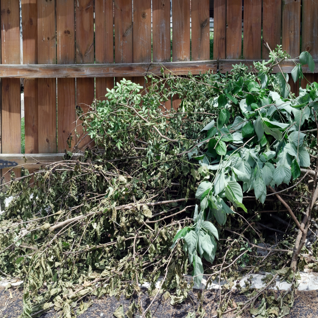 Tas de déchets verts et de branchages issus d’une taille de haie